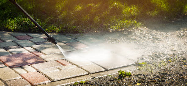Best Driveway Pressure Washing  in Alto, GA